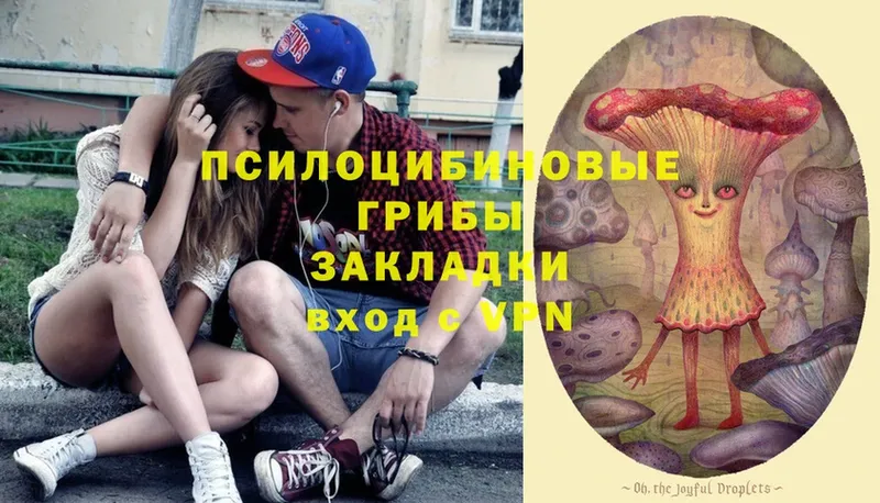 mega tor  Коркино  Галлюциногенные грибы MAGIC MUSHROOMS 